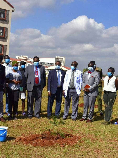 Pefa Church Kiwanja & Compassion International Kenya Donate Trees
