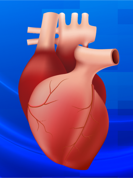 KUTRRH Cardiovascular Disesase Diagnosis and Treatment in Kenya
