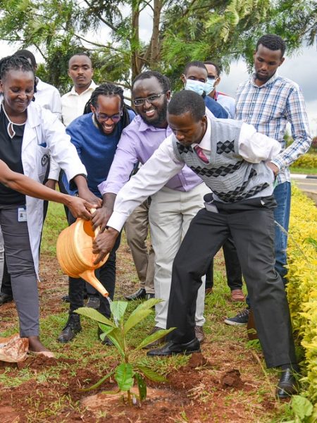KUTRRH ICT Tree planting to commemorate digital milestones
