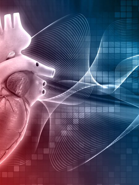 Kenya Cardiac Society Holds Scientific Congress