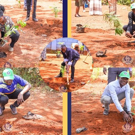 300 Trees Planted During the World Environmental Health Day