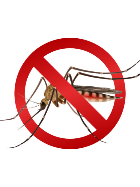 world malaria day