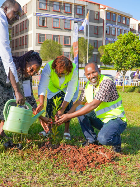 tree planting