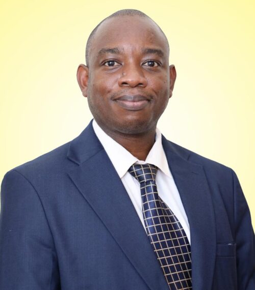 director ict and innovation