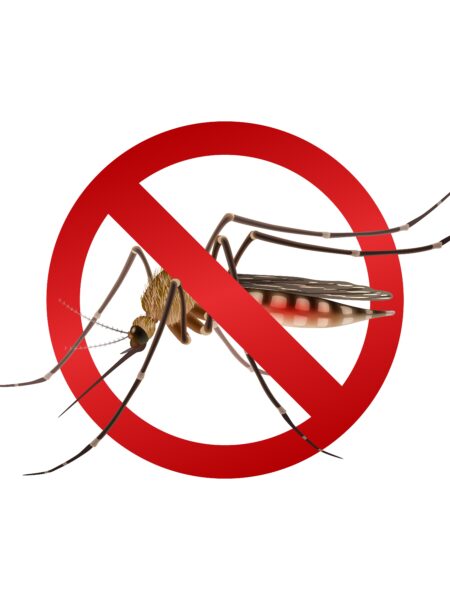 Malaria Care at KUTRRH: Early Testing, Timely Treatment, Better Outcomes