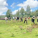 Advancing Ecosystem Restoration Beyond Tree Planting