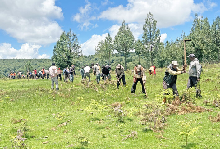 Advancing Ecosystem Restoration Beyond Tree Planting