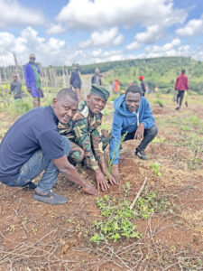 Building a Greener and Healthier Future